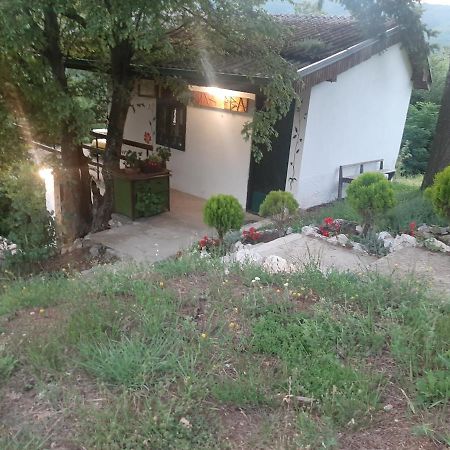 Vila Eva Meduvrsje Ngoại thất bức ảnh