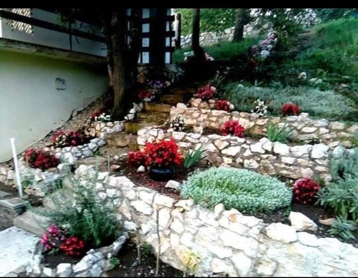 Vila Eva Meduvrsje Ngoại thất bức ảnh